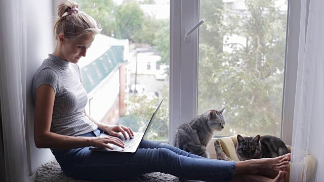 有魅力的女孩坐在窗台上用笔记本电脑和猫在一起视频素材