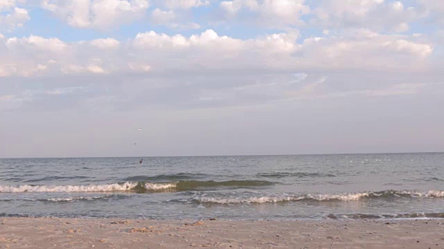 海鸥坐在海浪上视频素材