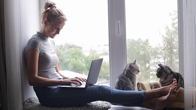 窗台上的小女孩和英国猫在用她的笔记本电脑视频素材