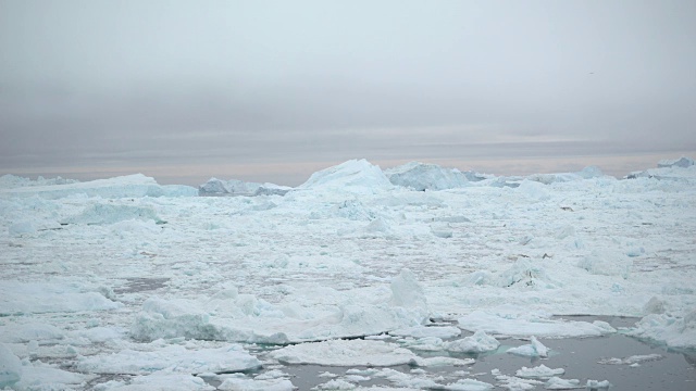 格陵兰岛北冰洋上的巨大冰山视频素材