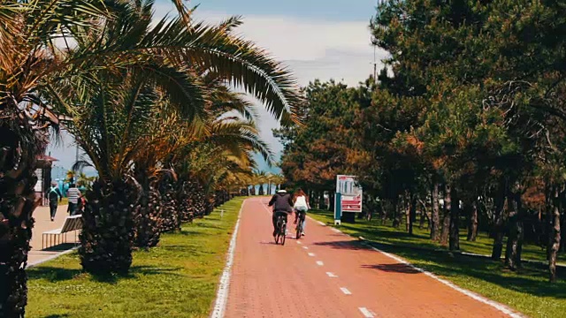 格鲁吉亚城市巴统的堤岸上生长着棕榈树的树枝。度假城市堤岸上的自行车道，供骑行者骑行视频素材