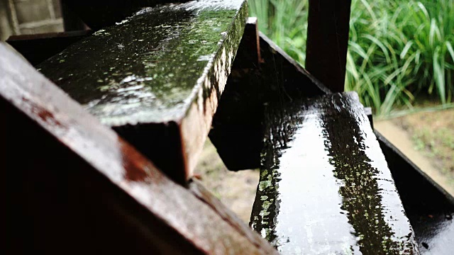 雨季，4K雨落木勺视频下载