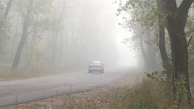 交通工具在雾中沿着森林道路行驶。视频素材