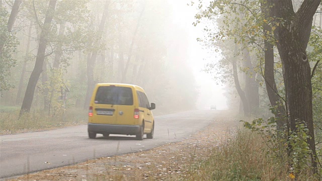 交通工具在雾中沿着森林道路行驶。视频素材