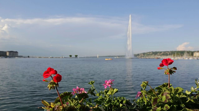 瑞士日内瓦湖和喷泉之旅视频素材