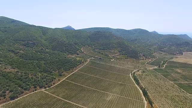 图片:带有葡萄园的农田景观视频素材