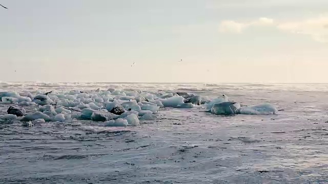 冰岛的冰川泻湖视频下载