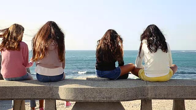 十几岁的姐妹和朋友们一起在海边闲逛。视频下载