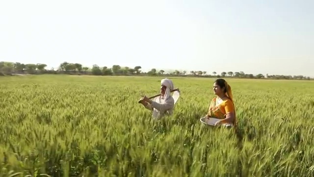 在印度哈里亚纳邦的农场里，成年男子和成年女子在交谈视频素材