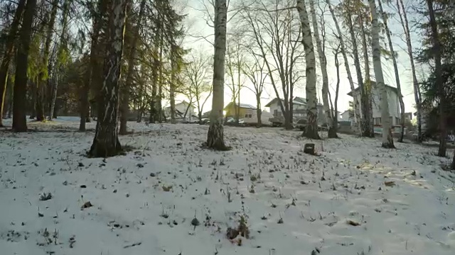 行走在冬季森林景观树木与夕阳的背景，POV视频素材