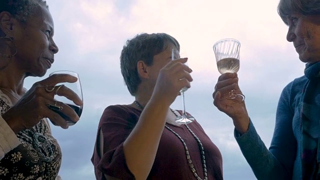 三个60多岁的成熟女性旅行者用酒庆祝视频素材