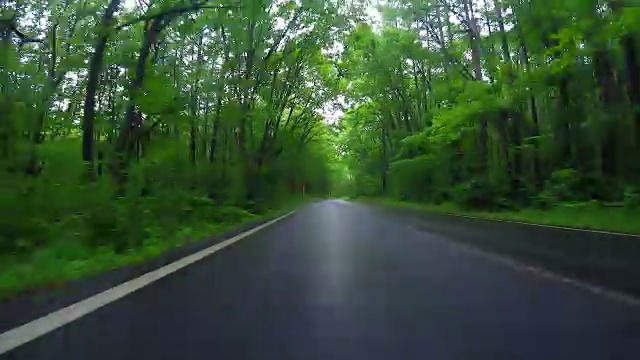 在雨中驾驶乡间小路视频素材