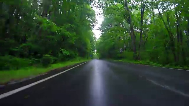 在雨中驾驶乡间小路视频素材