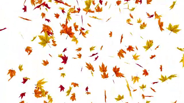 秋叶飘落的动画视频素材
