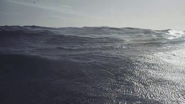 挪威海的虎鲸视频素材
