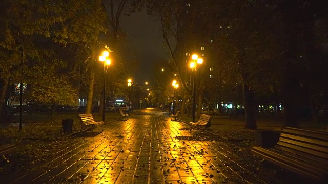 夜晚漫步在秋天的城市公园视频素材