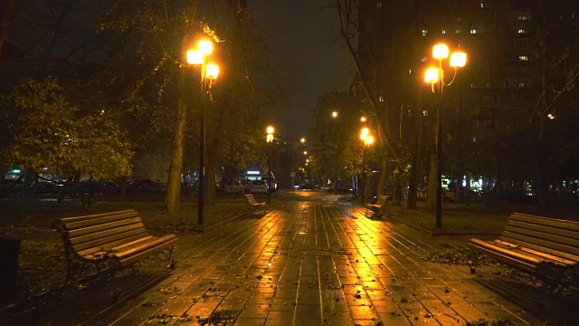 夜晚漫步在秋天的城市公园视频素材
