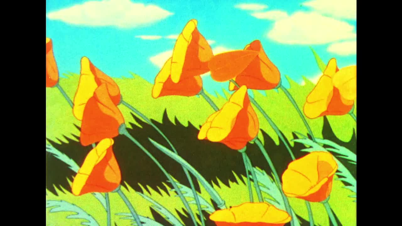 春天来了，花儿和蝴蝶享受着温暖的阳光视频素材