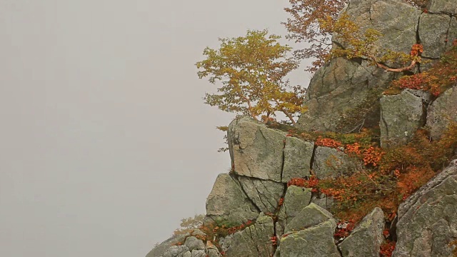 秋天的风景。山区多雾的天气。视频下载