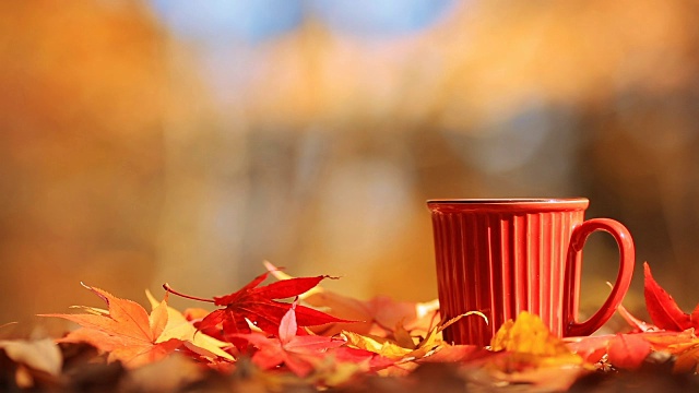 茶杯和秋季多色叶。视频下载