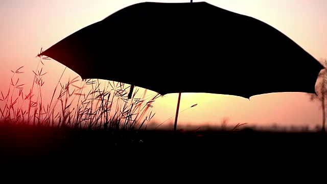 日落和雨伞视频素材