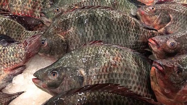 超市里的冰鲜鱼，4K。视频素材