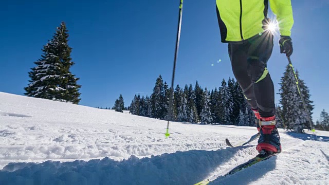 越野滑雪者在一个阳光明媚的日子在一个冬季景观视频下载
