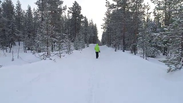 在芬兰令人惊叹的冬季森林里，一名女子在雪地上跋涉视频素材