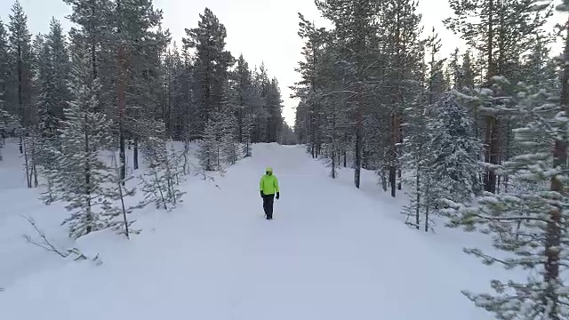在芬兰令人惊叹的冬日树林里，一名女子在雪地上跋涉视频素材
