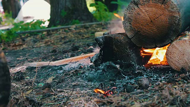 燃烧着的大木头包围着火焰的景象。篝火在大自然中，旅游在生存视频素材