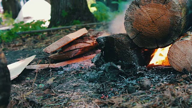 燃烧着的大木头包围着火焰的景象。篝火在大自然中，旅游在生存视频素材