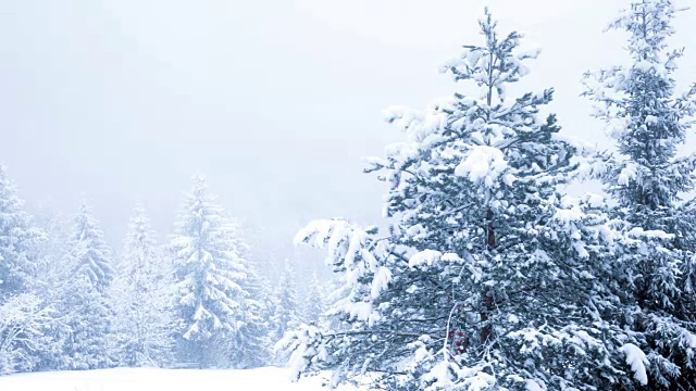 美丽的冬天的风景视频下载