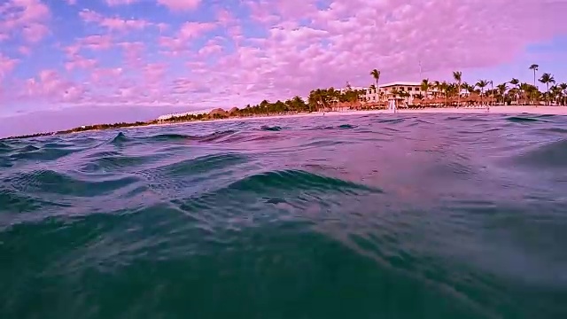 加勒比海阿库马尔湾附近的绿海龟-玛雅里维埃拉/科苏梅尔，金塔纳罗，墨西哥视频素材