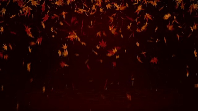 秋叶落在红色背景上，枫叶，循环闪烁动画，视频素材