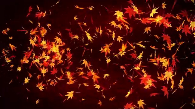 秋叶落在红色背景上，枫叶，循环闪烁动画，视频素材