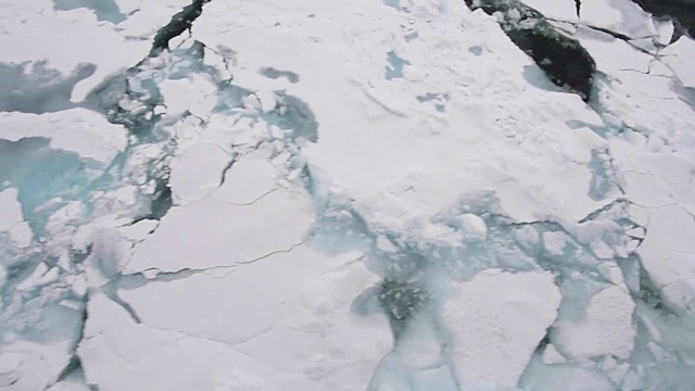 在北极的冰中旅行视频素材