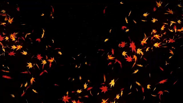 秋叶落在黑色背景上，枫叶，循环闪烁动画，视频素材