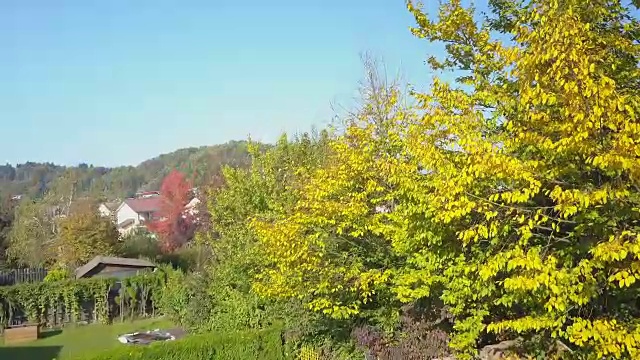 鸟瞰图:在阳光明媚的日子里，鸟瞰田园诗般的郊区小镇，黄秋的树木之上视频素材
