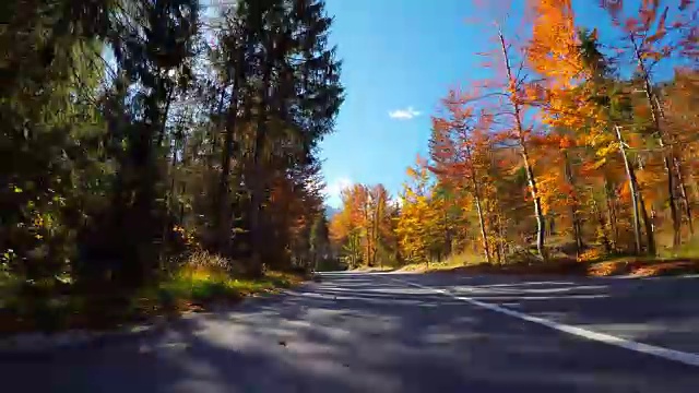 在美丽的阳光明媚的秋天里，驾车在风景优美的道路上穿过五颜六色的森林视频素材
