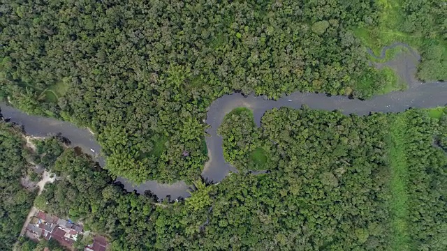 南美洲亚马逊雨林鸟瞰图视频素材