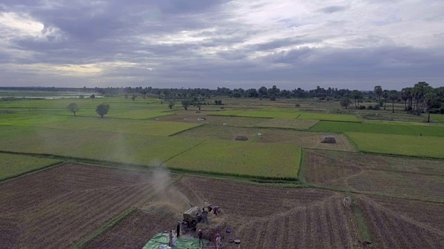 向后飞的农民用机器在田里打稻谷视频素材