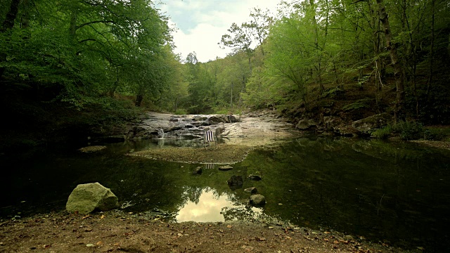 森林中的河流视图- 4K分辨率视频下载