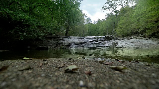 森林中的湖景- 4K分辨率视频下载