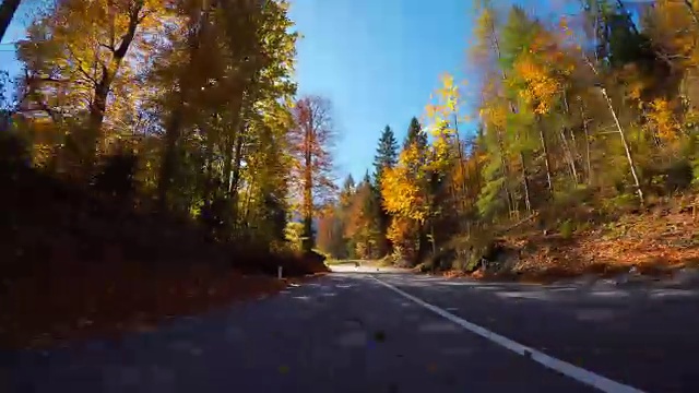 在秋天的山路上驾车穿过五颜六色的森林视频素材