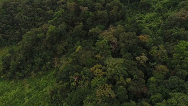 森林景观和山脉在一个多云的日子在巴西视频素材