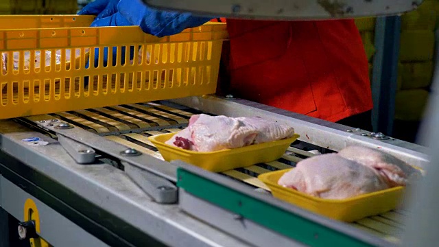 工人们用手将鸡肉容器放在工厂的生产线上。视频素材