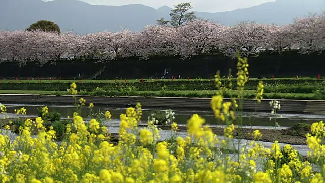 日本福冈的“花川”视频素材