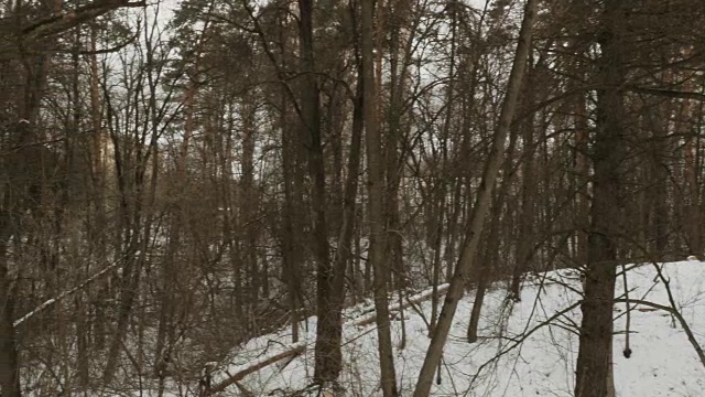 在冬天的森林里，年轻人在树林里奔跑视频素材