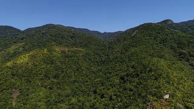 南美洲的山脉和森林视频素材