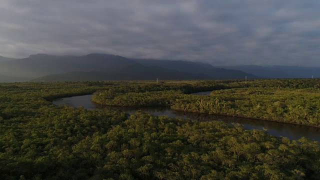 南美洲亚马逊雨林鸟瞰图视频下载